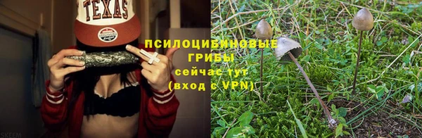 таблы Гусь-Хрустальный