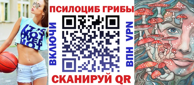 Купить  Торжок  Галлюциногенные грибы Psilocybe 